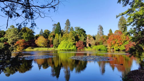 Sheffield Park vista across the lake during the first week of October